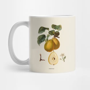 Pear Antique Botanical Illustration Mug